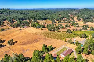 3700 Wilson Loop, Placerville, CA 95667 - Photo 44