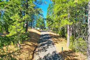 3700 Wilson Loop, Placerville, CA 95667 - Photo 4