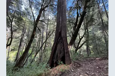 19707 Grizzly Creek Road, Nevada City, CA 95959 - Photo 6