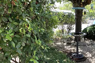 Mulberry Dr, Grass Valley, CA 95945 - Photo 28