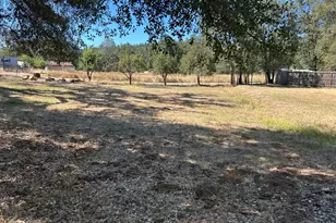 9153 Manzanita Ln, Oregon House, CA 95962 - Photo 8