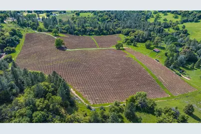 15111 Tyler Road, Fiddletown, CA 95629 - Photo 6