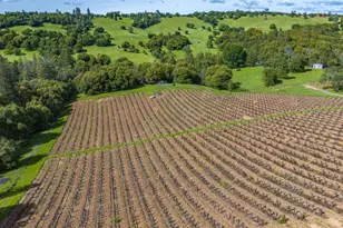 15111 Tyler Rd, Fiddletown, CA 95629 - Photo 76