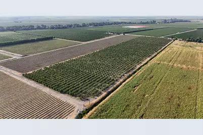 787 W Sutter Island Cross Road, Courtland, CA 95615 - Photo 6