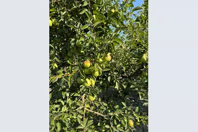 787 W Sutter Island Cross Road, Courtland, CA 95615 - Photo 18