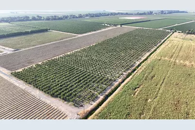 787 W Sutter Island Cross Road, Courtland, CA 95615 - Photo 4