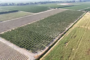 787 W Sutter Island Cross Rd, Courtland, CA 95615 - Photo 4