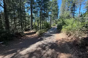 17400 Grizzly Ridge Rd, Nevada City, CA 95959 - Photo 34