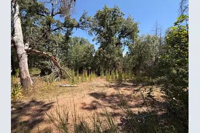 15473 Blind Shady Road, Nevada City, CA 95959 - Photo 4