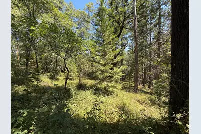 15473 Blind Shady Road, Nevada City, CA 95959 - Photo 10