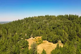 18125 Douglas Rd, Nevada City, CA 95959 - Photo 32