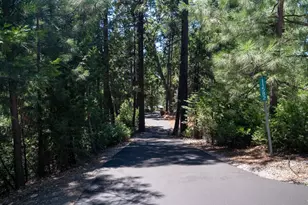 11582 Winter Moon Way, Nevada City, CA 95959 - Photo 22