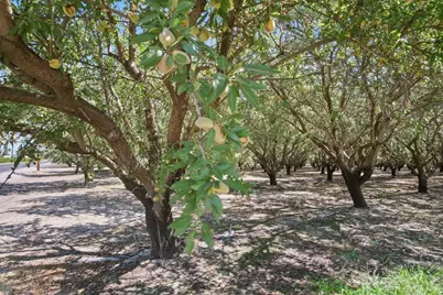 2404 Sultana Avenue, Atwater, CA 95301 - Photo 42