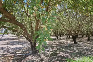 2404 Sultana Ave, Atwater, CA 95301 - Photo 42