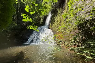 16941 Weeds Point Rd, Camptonville, CA 95922 - Photo 46