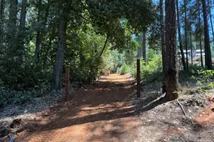 16941 Weeds Point Rd, Camptonville, CA 95922 - Photo 34