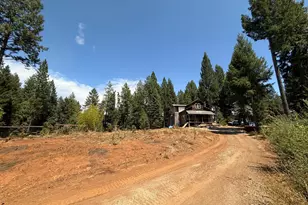 16941 Weeds Point Rd, Camptonville, CA 95922 - Photo 36