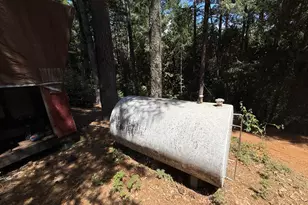 16941 Weeds Point Rd, Camptonville, CA 95922 - Photo 24