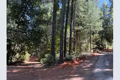 16941 Weeds Point Road, Camptonville, CA 95922 - Photo 36