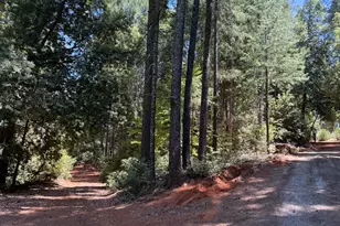 16941 Weeds Point Rd, Camptonville, CA 95922 - Photo 36