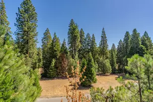 26301 Golf View Ln, Pioneer, CA 95666 - Photo 20