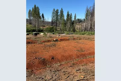 4491 String Canyon Road, Grizzly Flats, CA 95636 - Photo 4