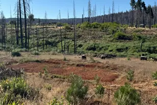 4491 String Canyon Rd, Grizzly Flats, CA 95636 - Photo 1