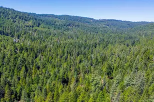 17017 Oregon Hill Rd, Challenge, CA 95925 - Photo 48