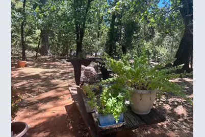 15574 Hinton Road, Pioneer, CA 95666 - Photo 24