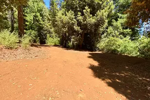 17385 Ashbury Wy, Camptonville, CA 95922 - Photo 82