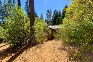 17385 Ashbury Wy, Camptonville, CA 95922 - Photo 70