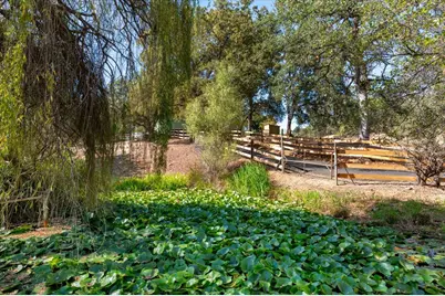 6590 Marysville Road, Browns Valley, CA 95918 - Photo 54