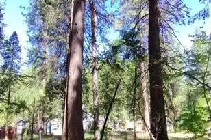 506 Silva Ave, Nevada City, CA 95959 - Photo 1