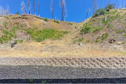 7255 Winding Way, Grizzly Flats, CA 95636 - Photo 44