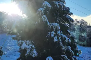 6545 Kelsey Rd, Placerville, CA 95667 - Photo 76