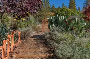 15579 Jesus Maria, Mokelumne Hill, CA 95245 - Photo 40