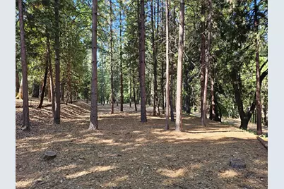 10680 Success Cross Road, Nevada City, CA 95959 - Photo 2