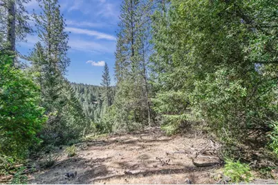 21670 Clute Canyon Road, Volcano, CA 95689 - Photo 1