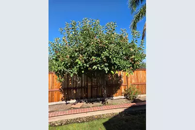 5324 Dasco Way, Sacramento, CA 95835 - Photo 68