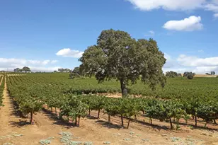 18739 Clements Rd, Lodi, CA 95240 - Photo 34