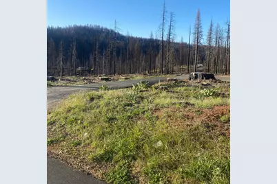 10122 Grizzly Flat Road, Grizzly Flats, CA 95636 - Photo 2