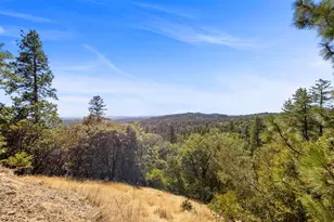 13331 Valley Vista Ct, Pine Grove, CA 95665 - Photo 68