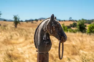 3206 Gillam Rd, Valley Springs, CA 95252 - Photo 30