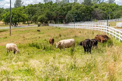 20945 Bear Hollow Road, Grass Valley, CA 95949 - Photo 14