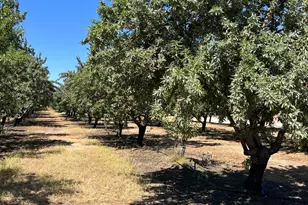 7149 Marianna Rd, Delhi, CA 95315 - Photo 2