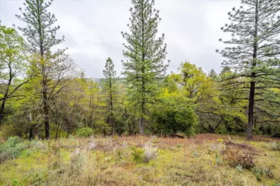 2227 Swansboro Road, Placerville, CA 95667 - Photo 48