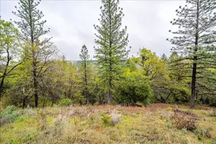 2227 Swansboro Rd, Placerville, CA 95667 - Photo 48