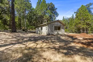 20117 Shake Ridge Rd, Volcano, CA 95689 - Photo 1