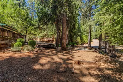 17667 Circle View Drive, Pioneer, CA 95666 - Photo 6