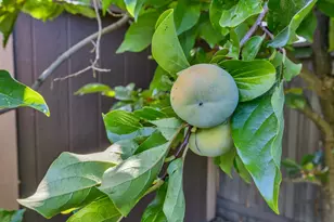 6624 Maple Creek Dr, Roseville, CA 95678 - Photo 46